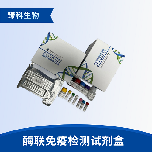 小鼠铜蓝蛋白(CP/CER）elisa检测试剂盒