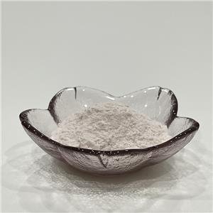 葱白提取物,Bulbus Allii Fistulosi