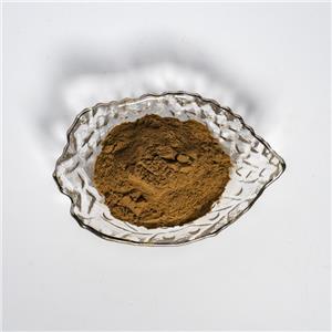 车前子提取物,PlantaginisSemen