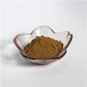 车前子提取物,PlantaginisSemen