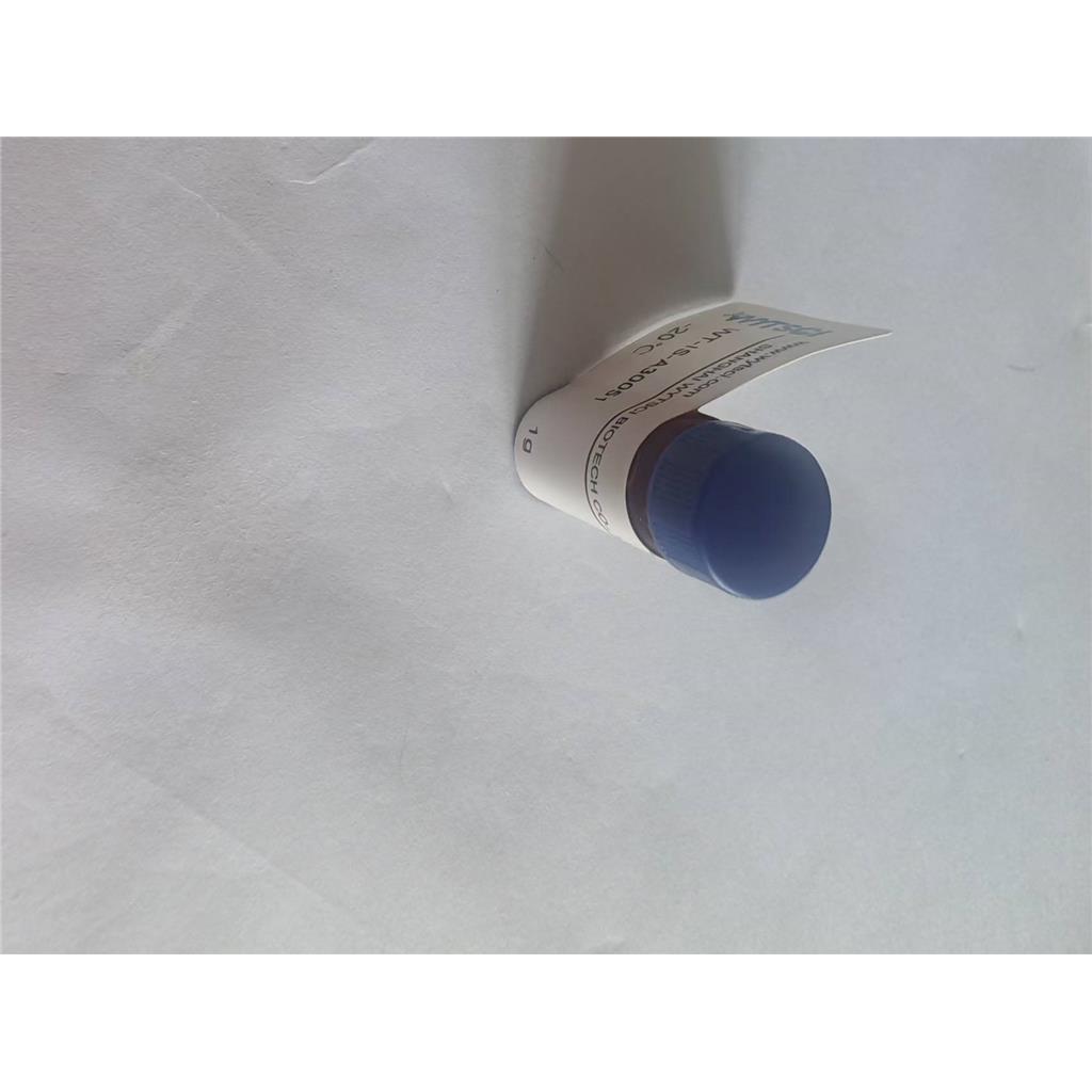 镝-156 (Dy-156) 镝金属同位素,Dysprosium (Dy-156)