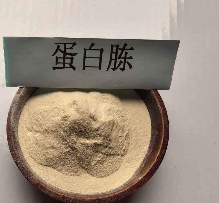 酸水解酪蛋白,Casein acid hydrolysate