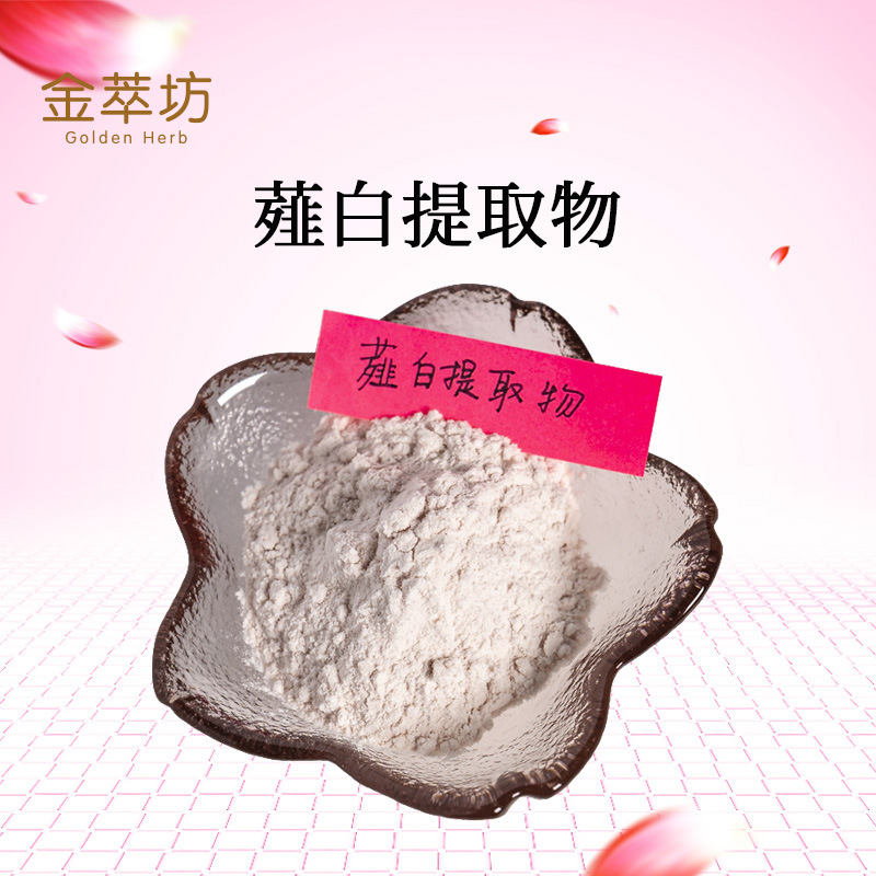 薤白提取物,Bulbus Allii Macrostemonis