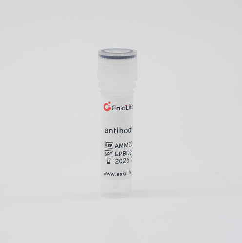 BIOTIN-兔抗人IgM(μ链特异性),BIOTIN-Polyclonal   Rabbit Anti-Human IgM(μ-chain specific)