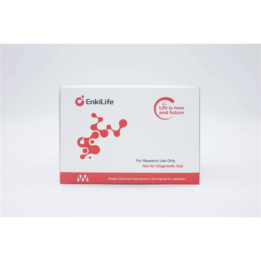 NADP+/NADPH测定试剂盒(WST-8法),NADP+/NADPH Assay Kit (WST-8 Method)