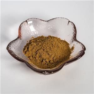 麦芽提取物,Malt Extract