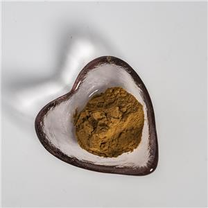 麦芽提取物,Malt Extract