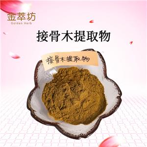 接骨木提取物