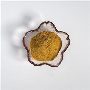 咖啡豆提取物,Coffee Bean Extract