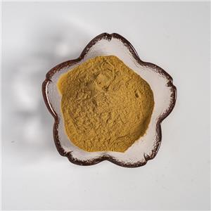 白芨提取物,Bletilla striata (Thunb.) Reichb.f.