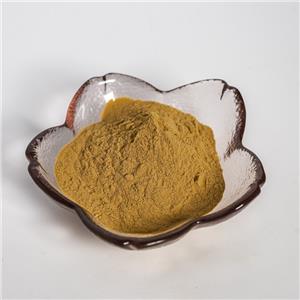 白芨提取物,Bletilla striata (Thunb.) Reichb.f.