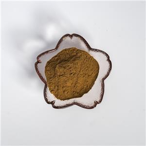 覆盆子提取物,RubuschingiiHu.P.E.