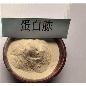 酸水解酪蛋白,Casein acid hydrolysate