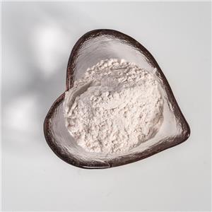 薤白提取物,Bulbus Allii Macrostemonis