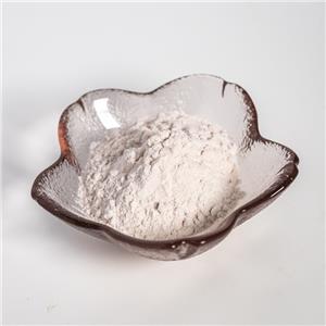 薤白提取物,Bulbus Allii Macrostemonis