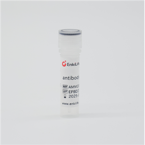 BIOTIN-山羊抗小鼠IgG (H+L),BIOTIN-Polyclonal   Goat Anti-Mouse IgG (H+L)