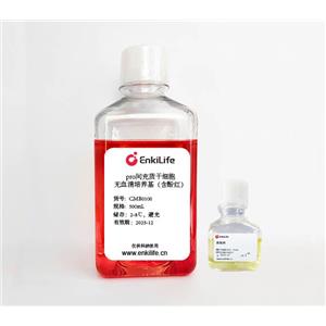 pro间充质干细胞无血清培养基（含酚红） | 液体 | EnkiLife恩玑生命