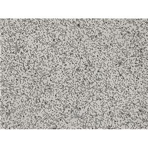 小鼠急性骨髓性白血病细胞C1498