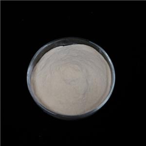 羧基化改性纤维素纳米晶体,C-CNC