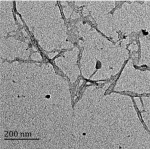 羧基化改性纤维素纳米晶体,C-CNC