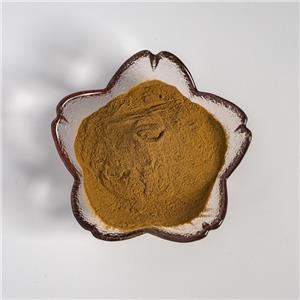 白蔹提取物,Japanese Ampelopsis Root Extract