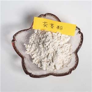 茯苓粉,Poria cocos powder