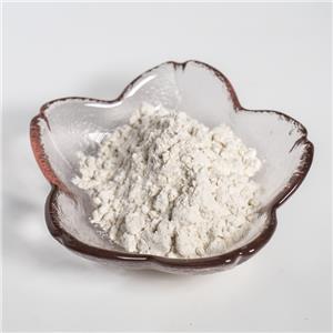 茯苓粉,Poria cocos powder