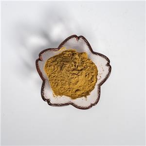 绞股蓝提取物,Extractum Gynostemmatis pentaphylli