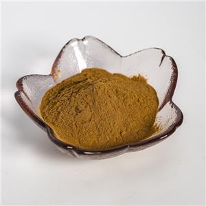 白薇提取物,Extractum Cynanchi atrati