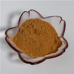 臀果木提取物,Pygeum africanum Extract