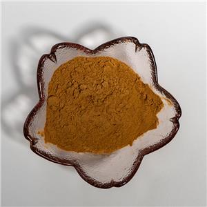臀果木提取物,Pygeum africanum Extract