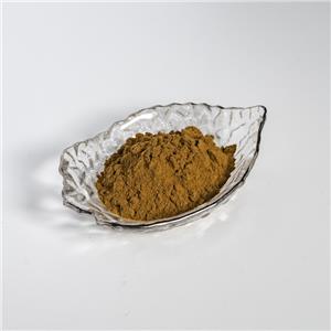 辣木叶提取物,Extractum Foliorum Moringae Oleiferae