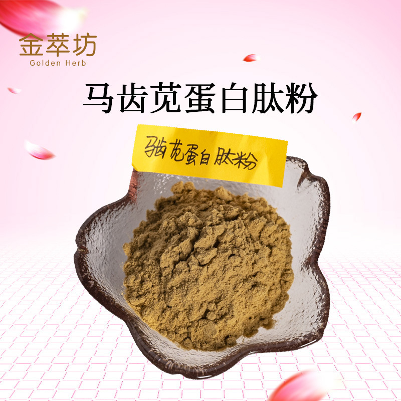 马齿苋蛋白肽粉,Purslane Protein Peptide Powder