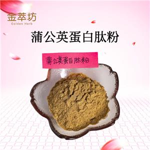 蒲公英蛋白肽  蒲公英肽粉 蒲公英萃取物 