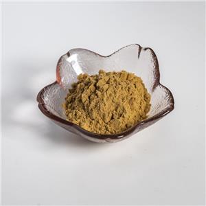 马齿苋蛋白肽粉,Purslane Protein Peptide Powder