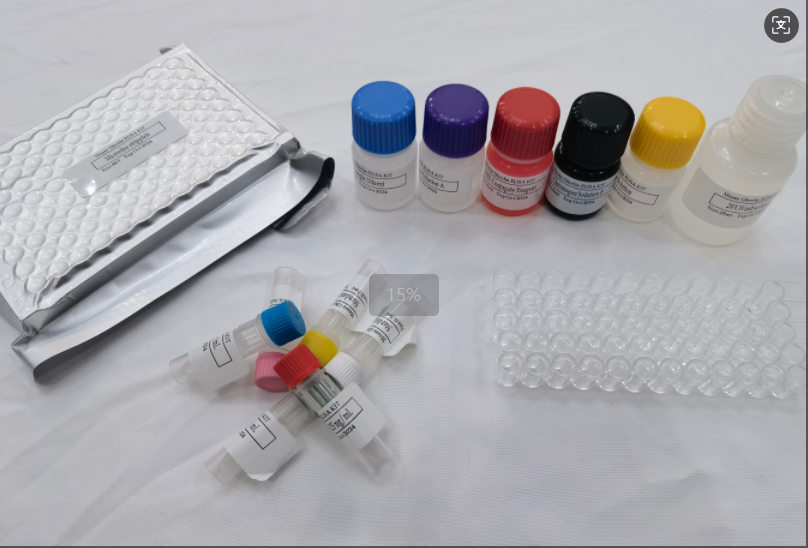 牛转化生长因子β1（TGF-β1）ELISA试剂盒