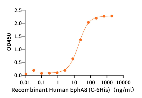 重组人EFNA5 (C-Fc)蛋白,Recombinant Human EFNA5 (C-Fc)