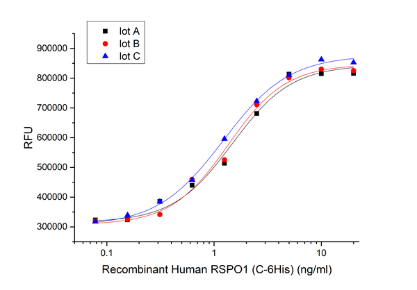 重组人RSPO1 (C-6His)蛋白,Recombinant Human RSPO1 (C-6His)