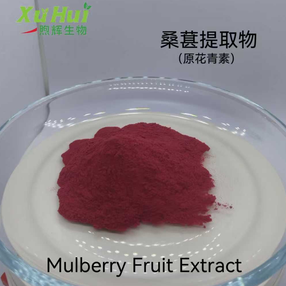 桑葚提取物,Mulberry Fruit Extract