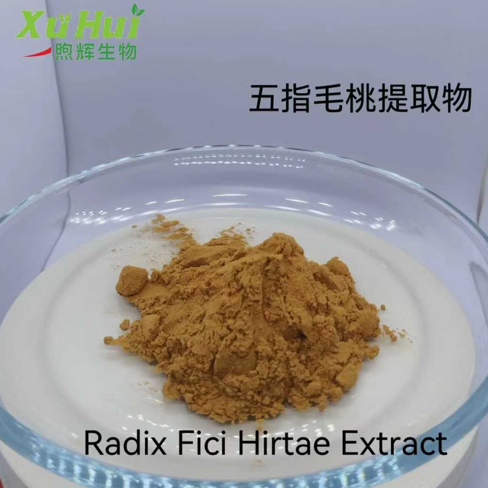 五指毛桃提取物,Ficus hirta Extract