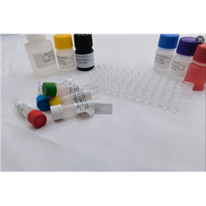 牛组胺（HIS）ELISA试剂盒