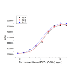 重组人RSPO1 (C-6His)蛋白,Recombinant Human RSPO1 (C-6His)