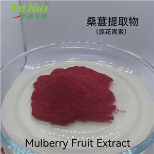 桑葚提取物,Mulberry Fruit Extract
