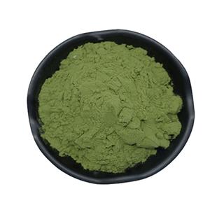 韭菜粉 韭菜浓缩粉 韭菜水溶粉 韭菜提取物