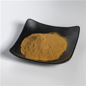 蒲公英黄酮4%,Dandelion flavonoids