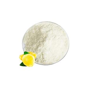 雪莲果粉 雪莲粉 全水溶雪莲粉