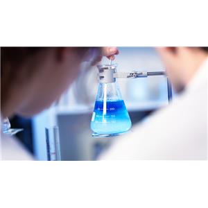 早期研发 合成化学服务