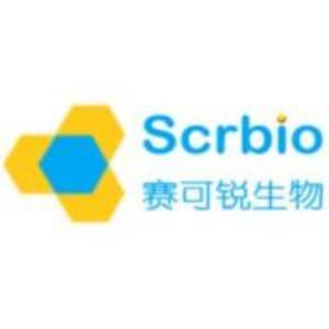 Itaconic acid-13C5,Itaconic acid-13C5