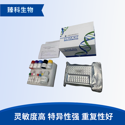 小鼠锰超氧化物歧化酶(Mn-SOD;SOD2）elisa检测试剂盒