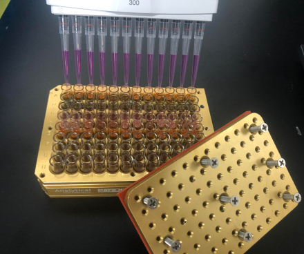 早期研发 药物化学,Drug Discovery Medicinal Chemistry